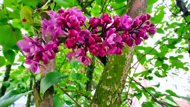 MicrosoftTeams-image (6).jpg